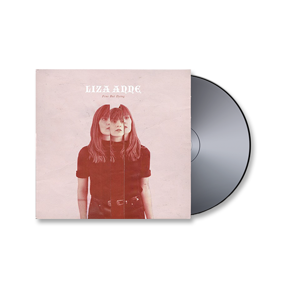 Liza Minnelli - Live At Carnegie Hall, Vinyl Record Album 2LP – Joe's Albums, image size:1000x1000